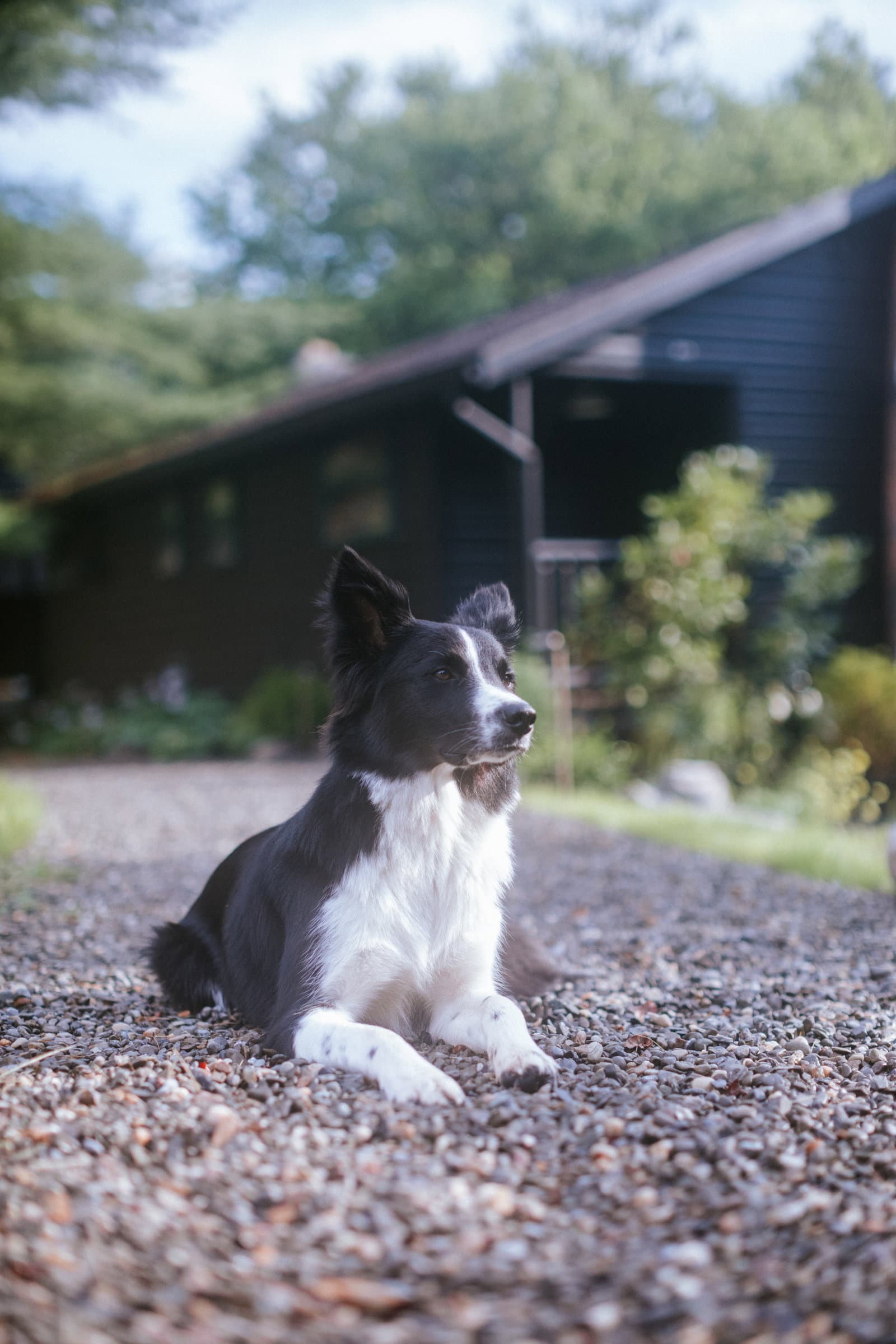 The Leeway's creekside exterior in Mount Tremper, a dog-friendly Catskills retreat