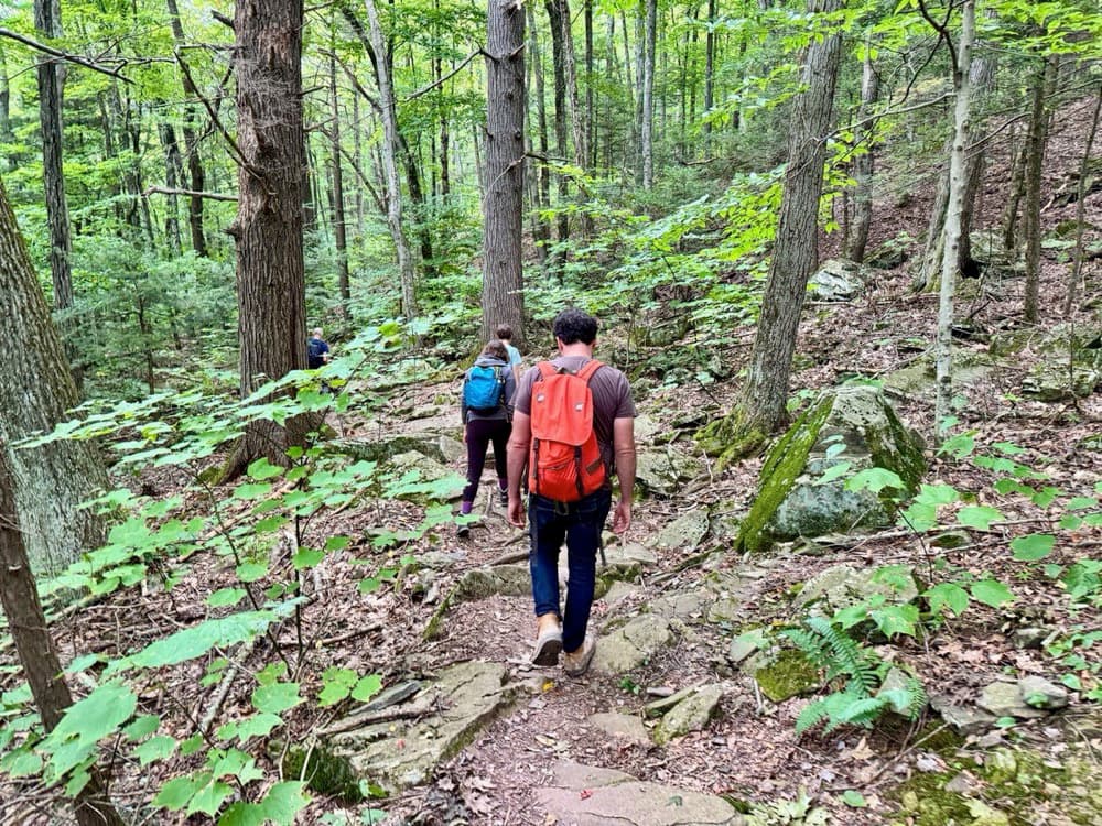 Hiking Trails